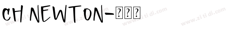 Ch Newton字体转换